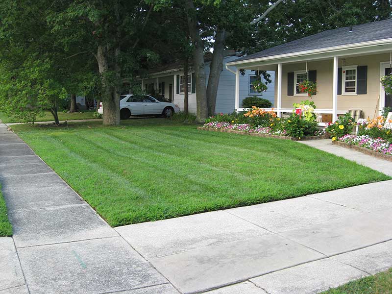 new-jersey-lawn-maintanence